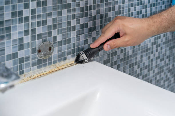 Best Health and Safety Mold Remediation in Montrose, MI